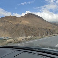 reviews img