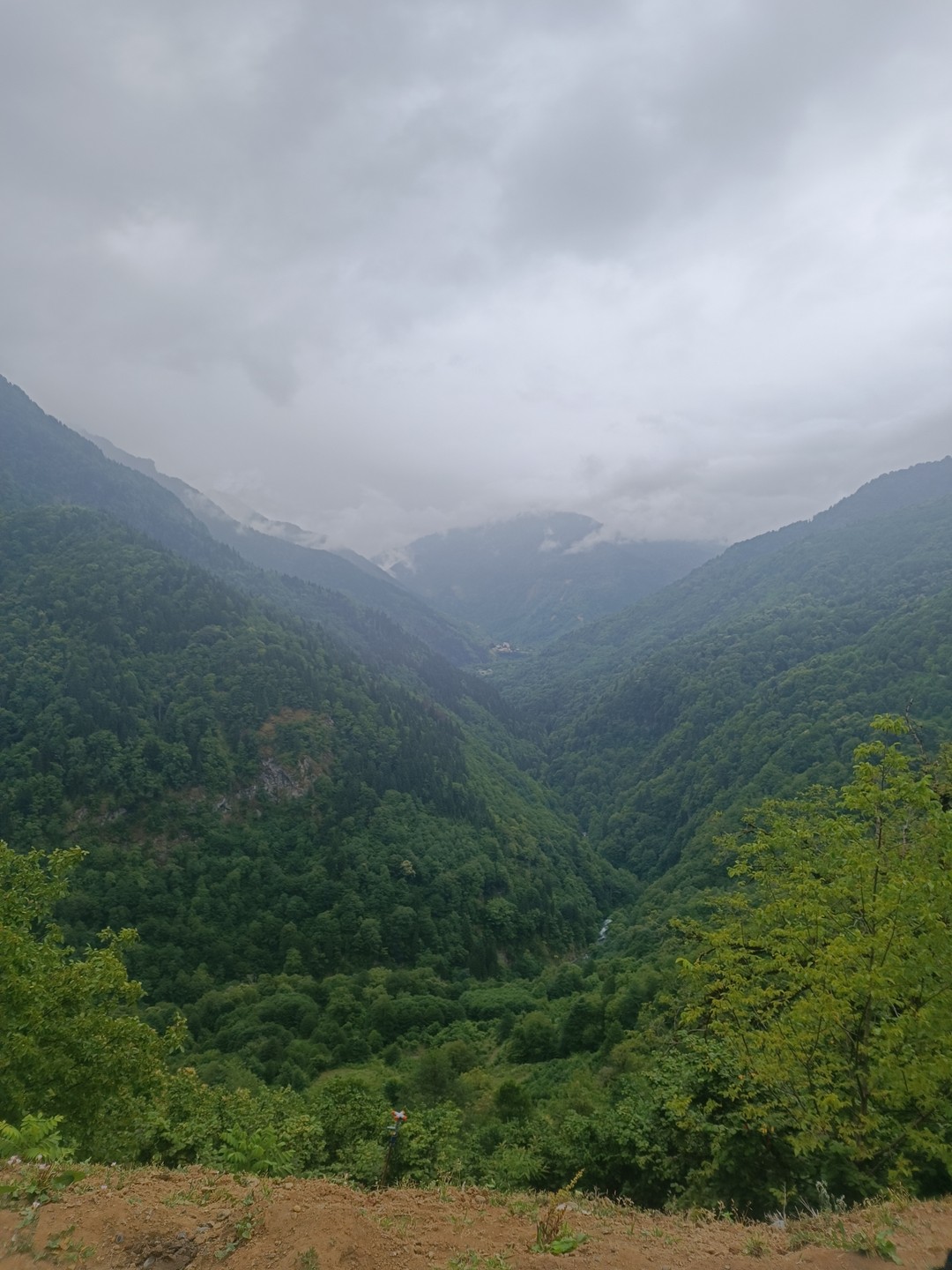 Батуми и горная Аджария за 1 день (Наталия)