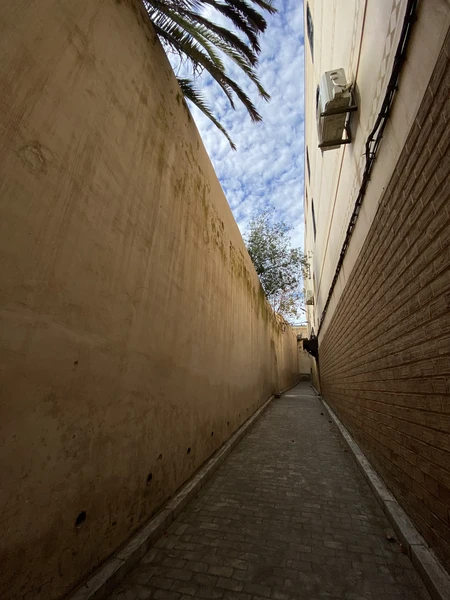 Нам очень понравилась экскурсия - Фатима рассказала про историю города, провела по Медине, показала Красильни, абсолютно