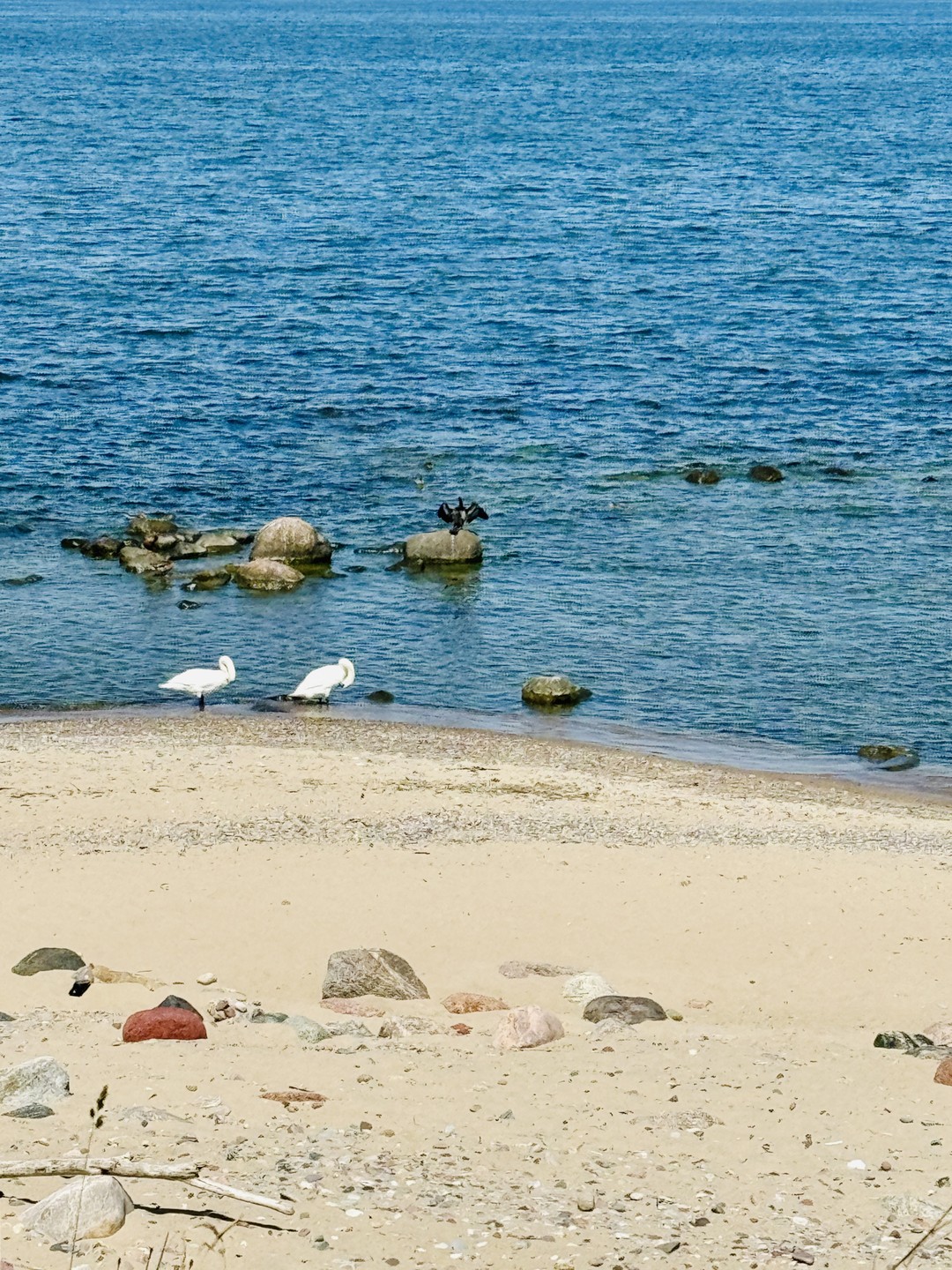 Путешествие по пляжам Балтийского моря для интровертов (Татьяна)