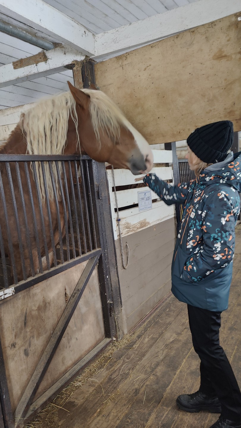 Дмитрию большое спасибо за прекрасный воскресный тур в настоящую жизнь! Природа, запах сена, лошади, дети с