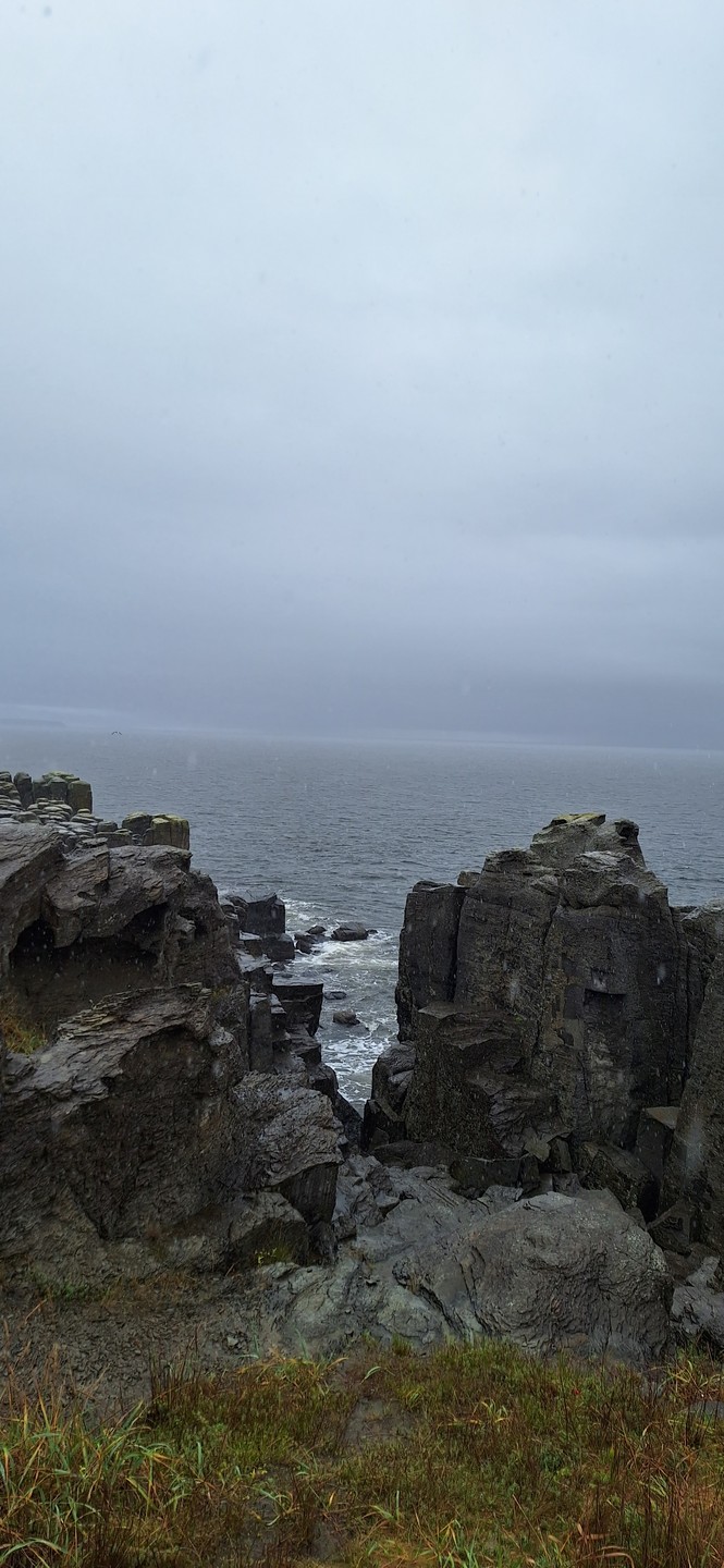 Ездила на экскурсию с Кариной