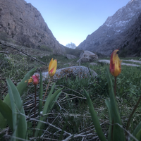 Фото отзыва 3: экскурсия "Чимганские горы, курорт Амирсай, водопады «Фата невесты», Пальтау и Чарвакское водохранилище"