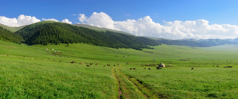 Из Алматы - к высокогорному плато Асы