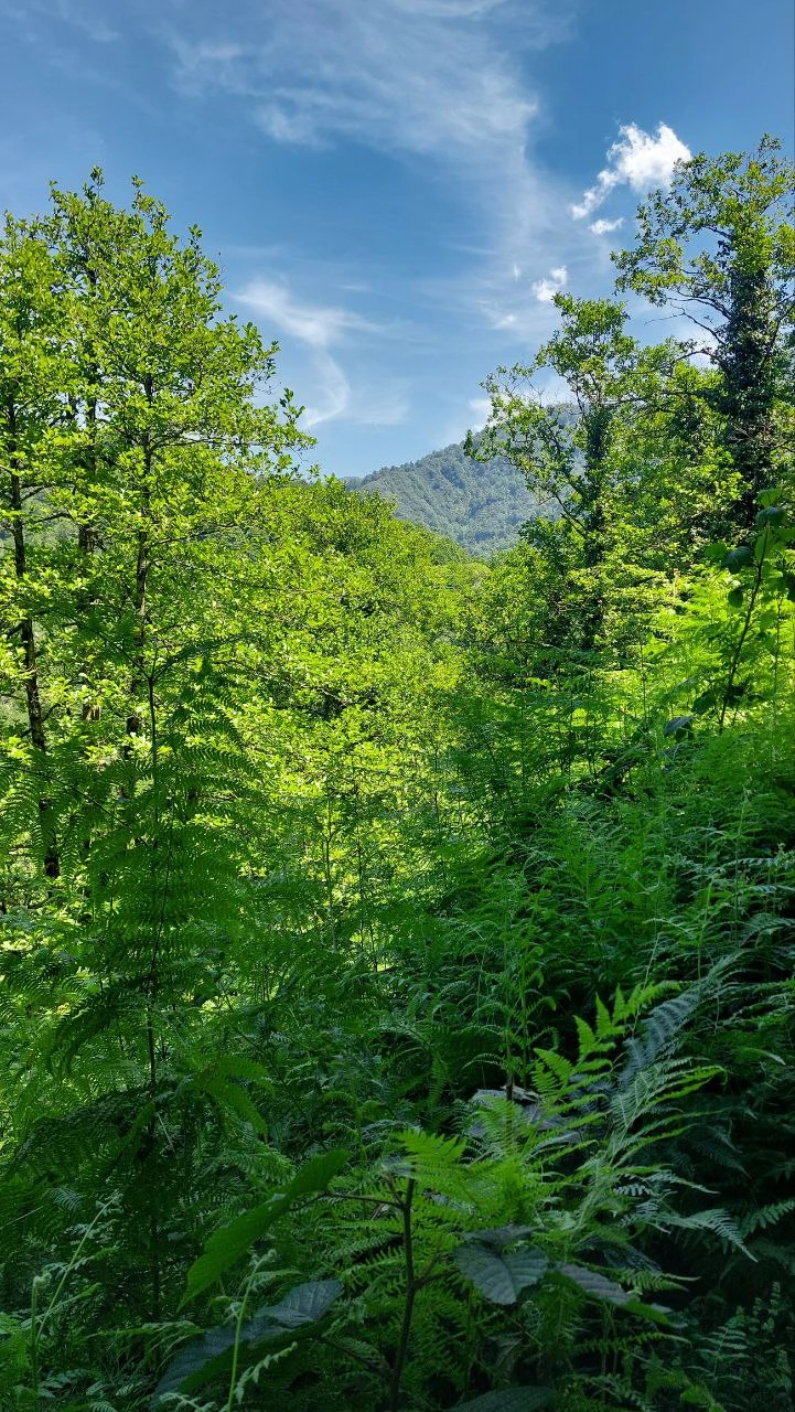 Отличное путешествие, прекрасно провели время. Федор настоящий профессионал своего дела, всем рекомендую👍👍👍