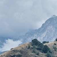 reviews img