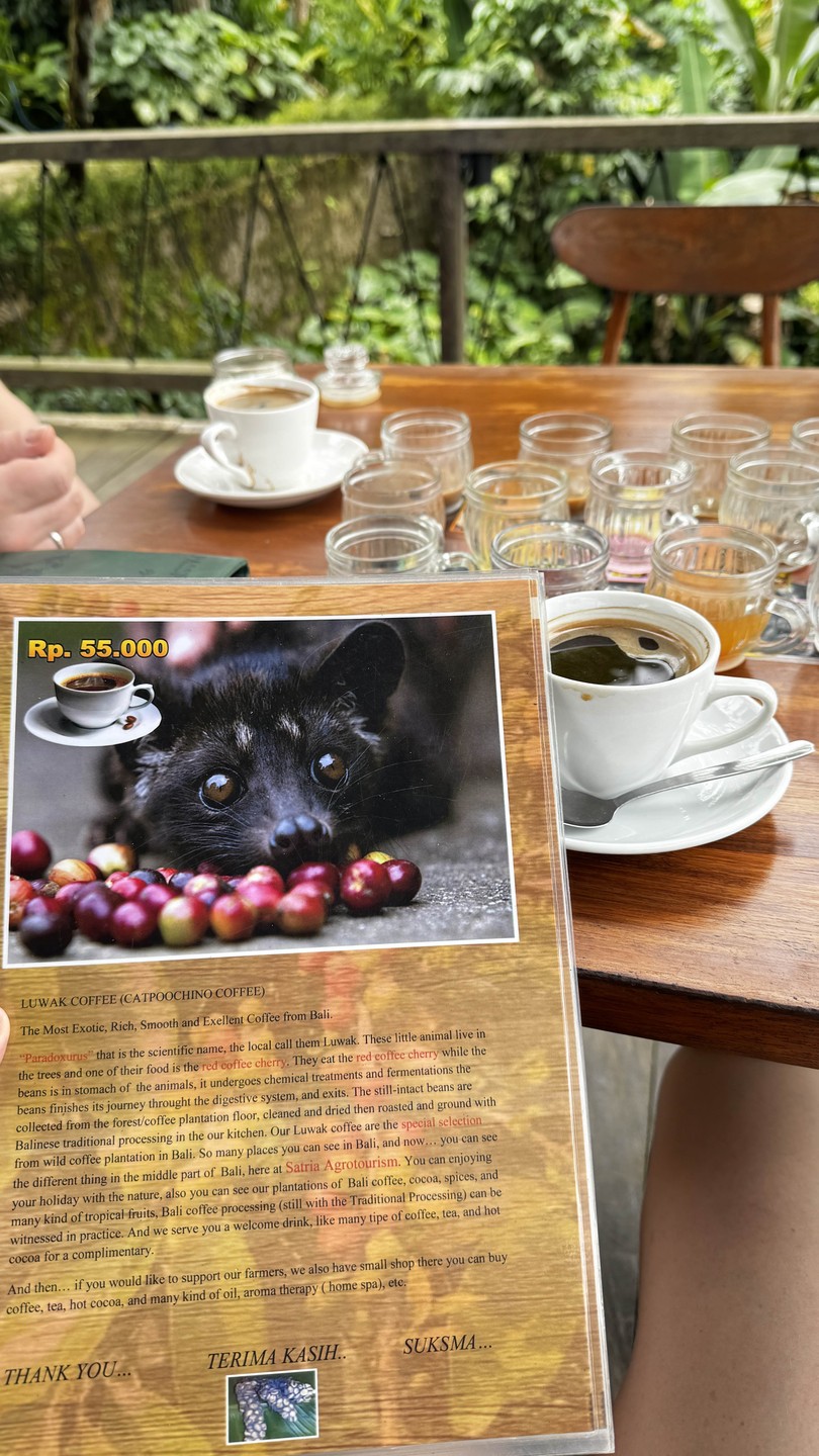 Традиции и обряды Бали (LIKA)