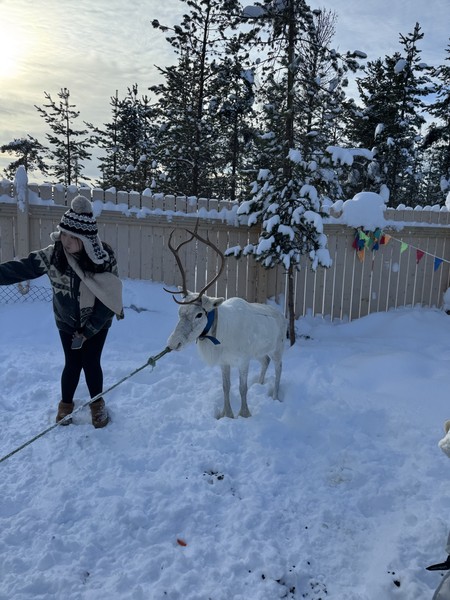 Волшебное место, все животные очень гостеприимны