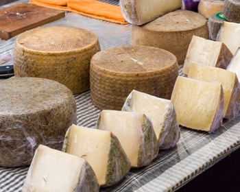 Семейные сыроварни, дегустация молочных продуктов и экскурсия в город Жирон