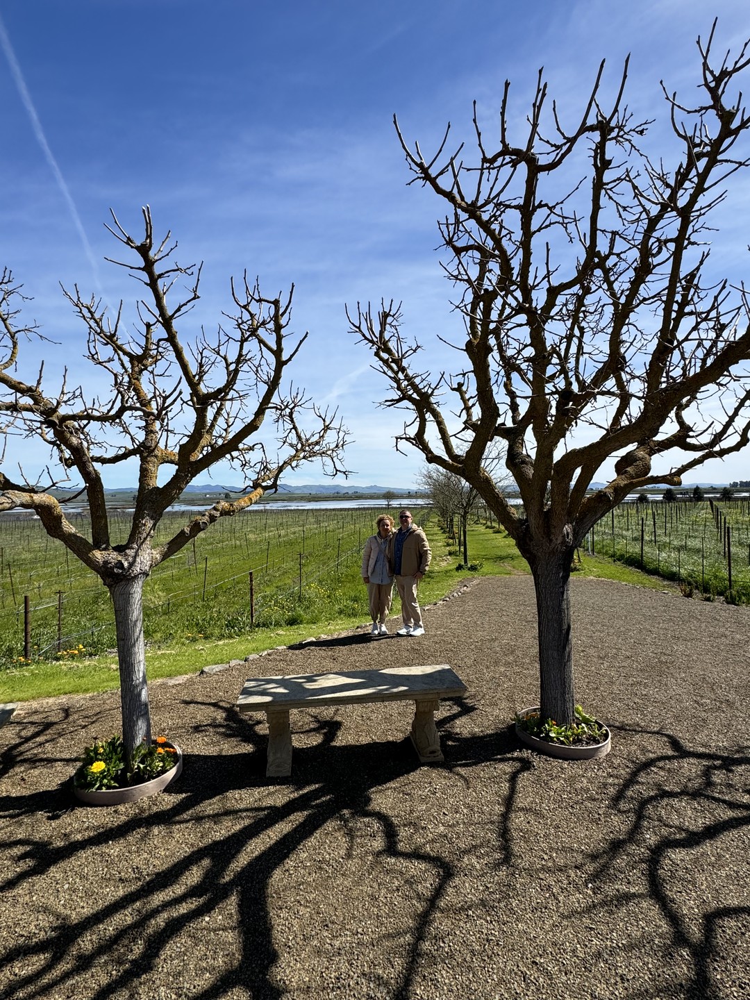 Все было прекрасно)) Лес удивительный, на винодельнях тоже очень понравилось, самое главное, много полезной и интересной