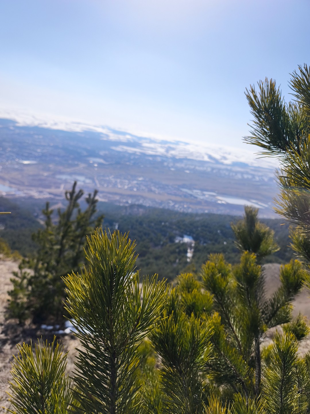 Если Вам нравится необычная экскурсия с чудесным гидом, то Вам сюда)!
