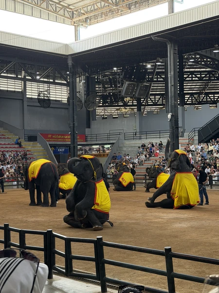 В первую очередь хочу сказать спасибо организатору Леониду - очень вежливый и хороший специалист. Помогал не