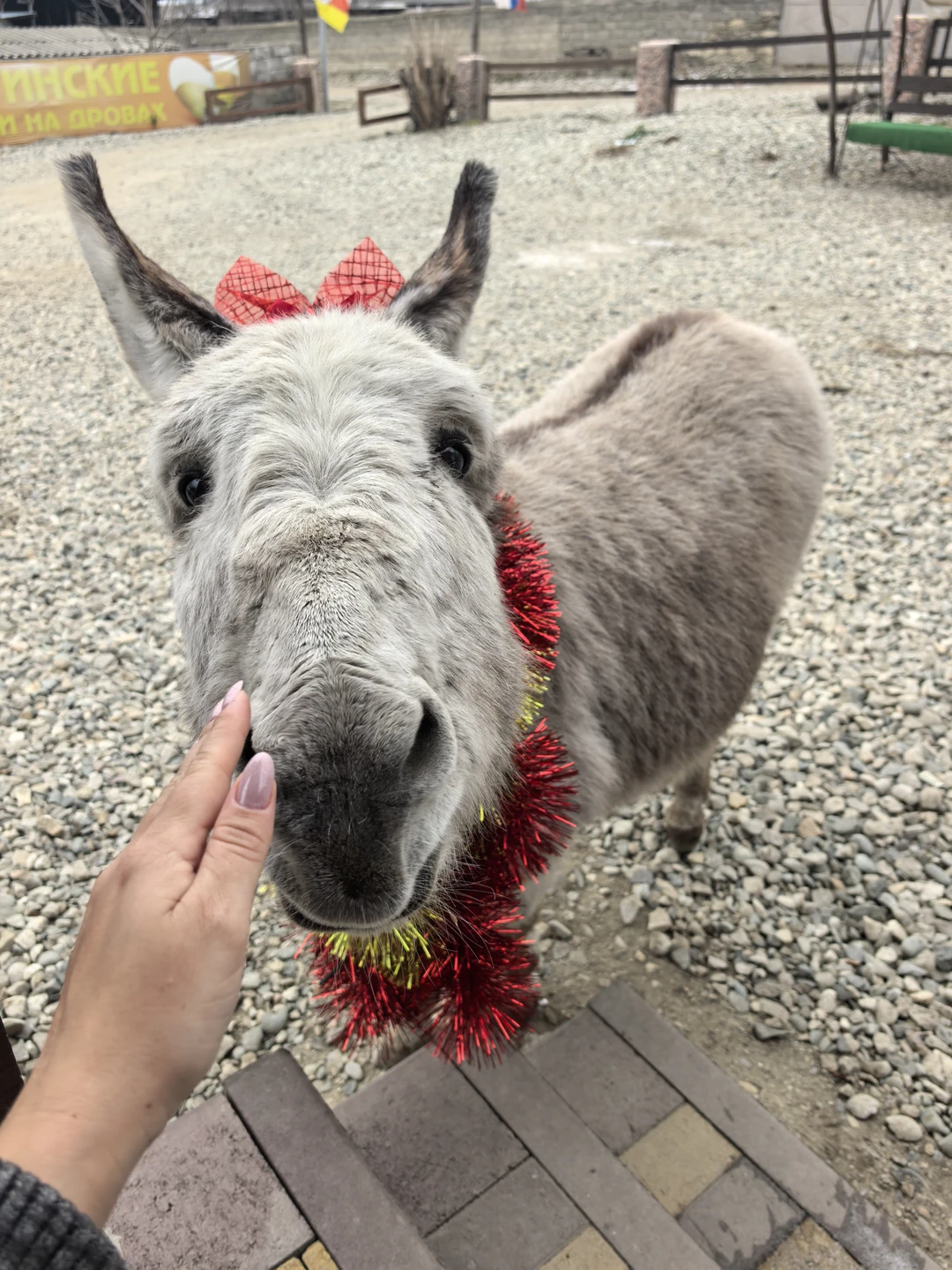 С нами был Владислав, экскурсия была классной! С самого раннего утра были заряжены хорошим настроением и