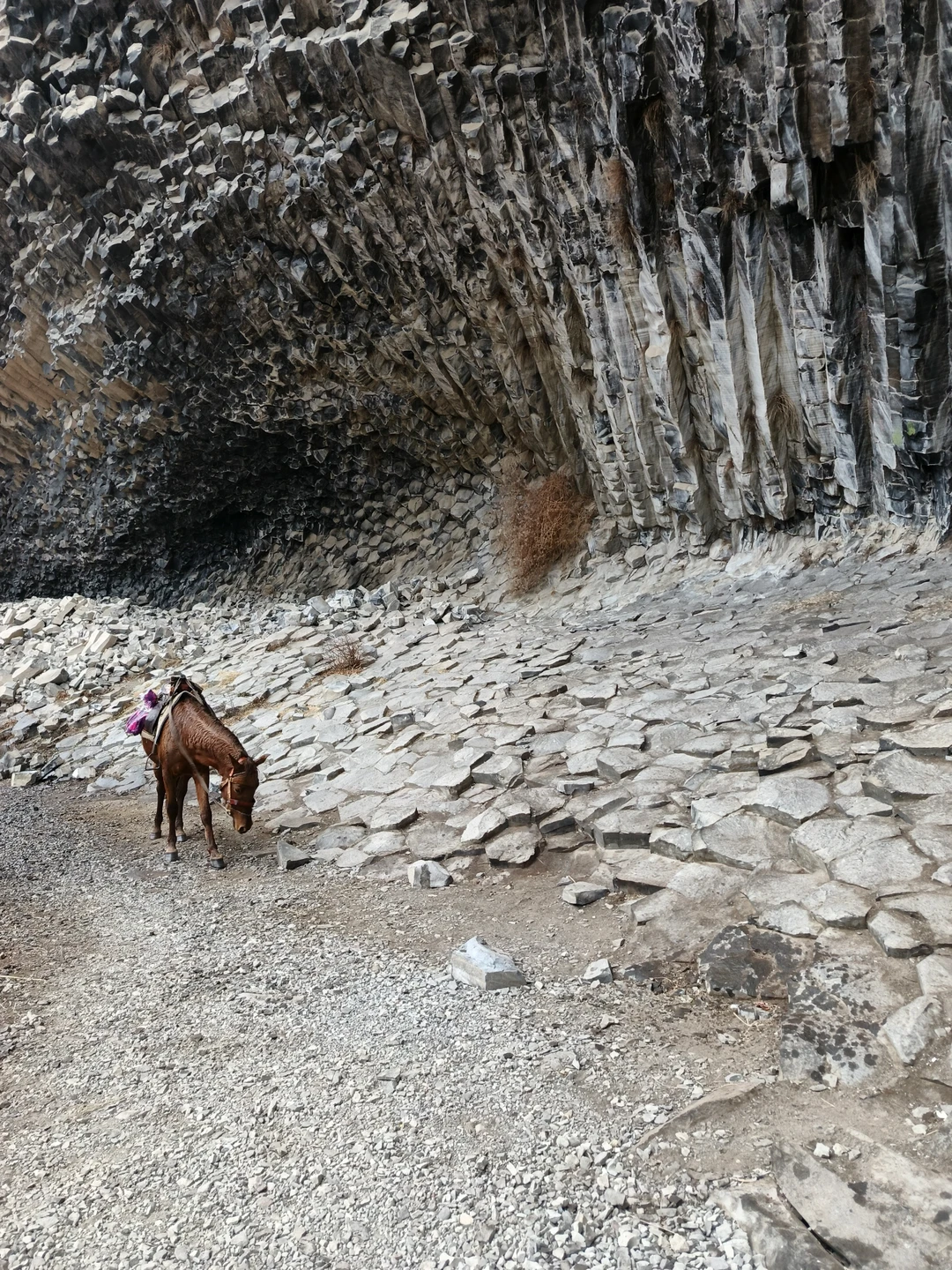 Экскурсия понравилась, захватывающие, потрясающие виды. Не хватило информации по объектам