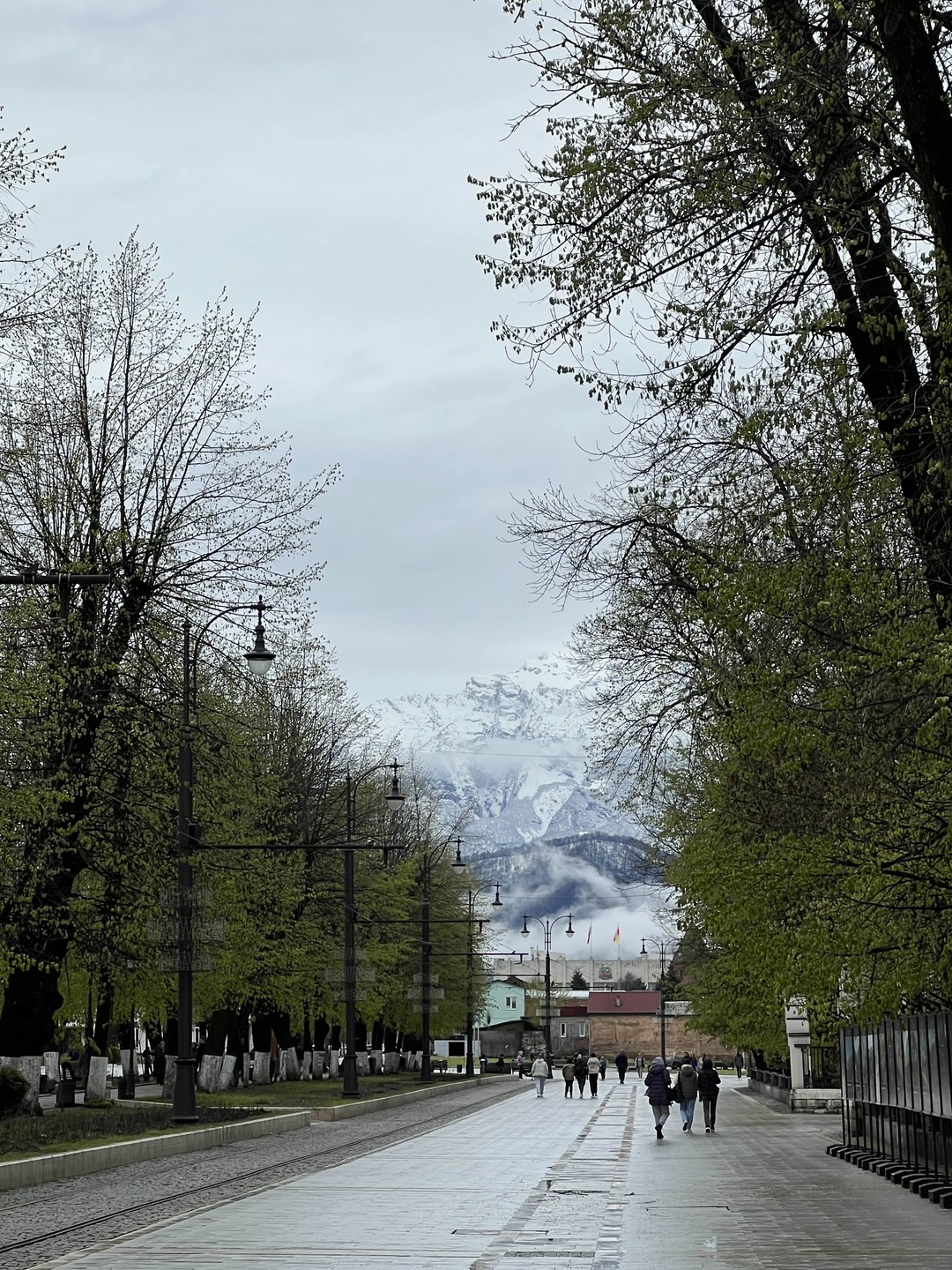 Владикавказ: архитектура, культура, городские истории (Роман)
