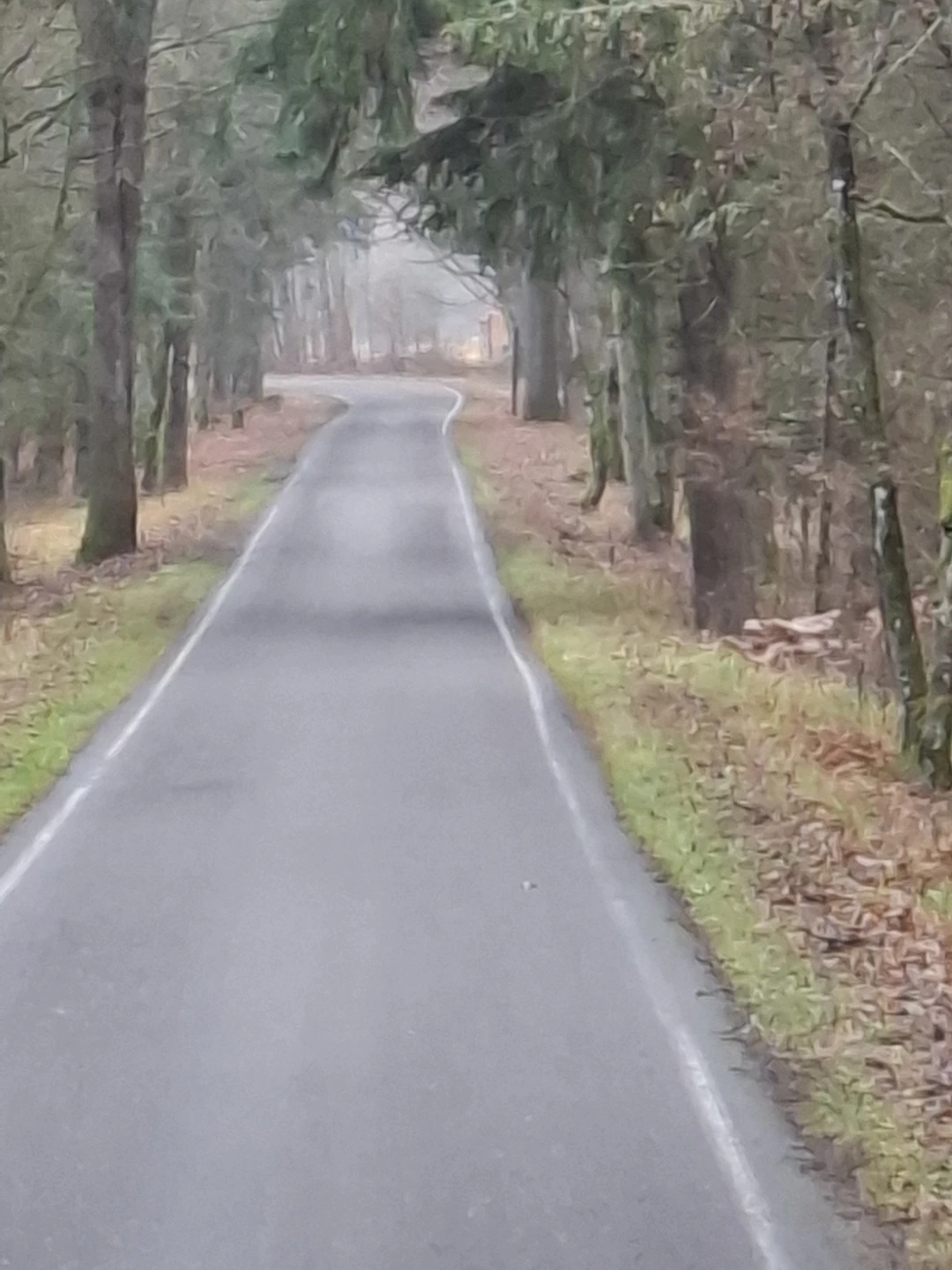 Спасибо гиду Алине и водителю автобуса Андрею. Поездка прошла хорошо, позновательно, содержательно и, в итоге, легко