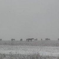 Фото отзыва 3: экскурсия "Из Кисловодска — к «водопадам, что пахнут медом»!"