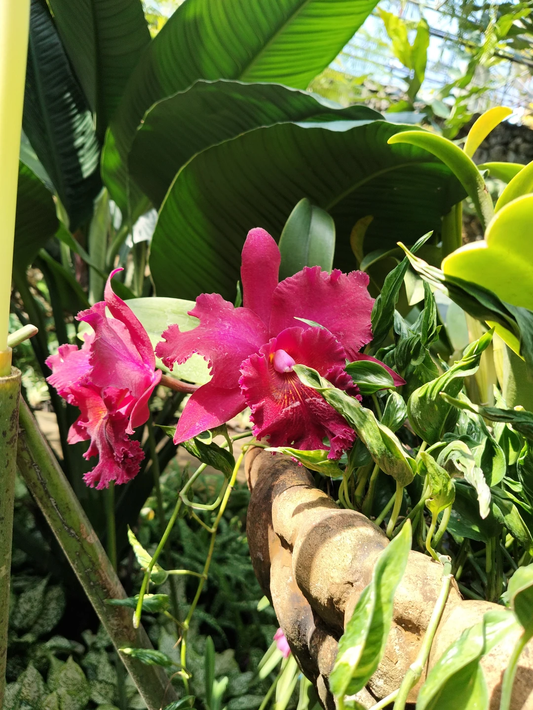 Крутая экскурсия, всё понравилось!