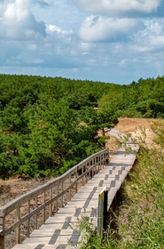 Куршская коса и Зеленоградск