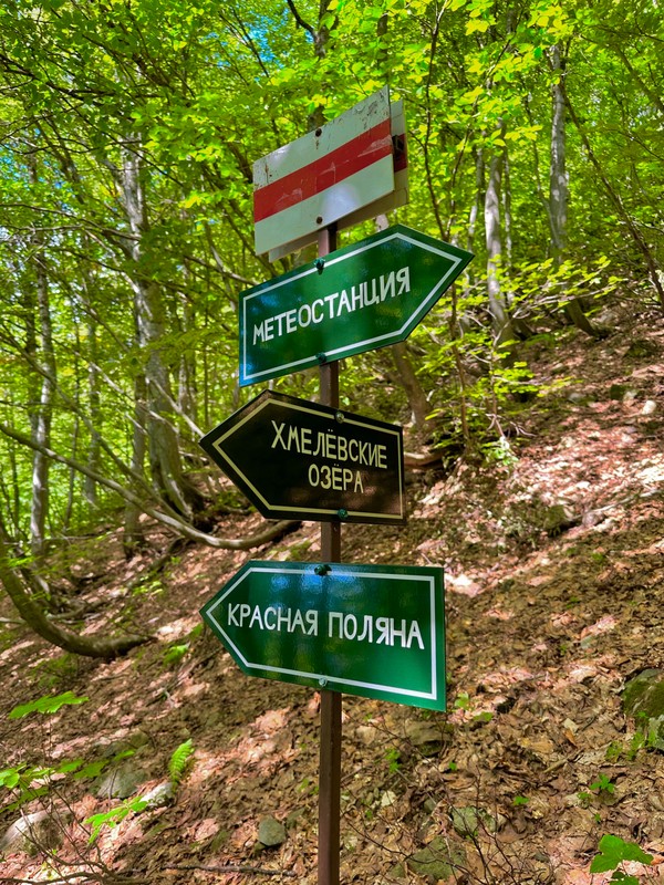 Альпийскими тропами по склону Ачишхо - из Сочи