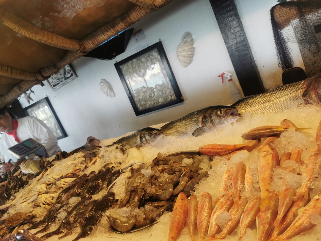 Ездили на экскурсию в Александрию из Каира. Если отель находится в районе Гизы, то ехать меньше