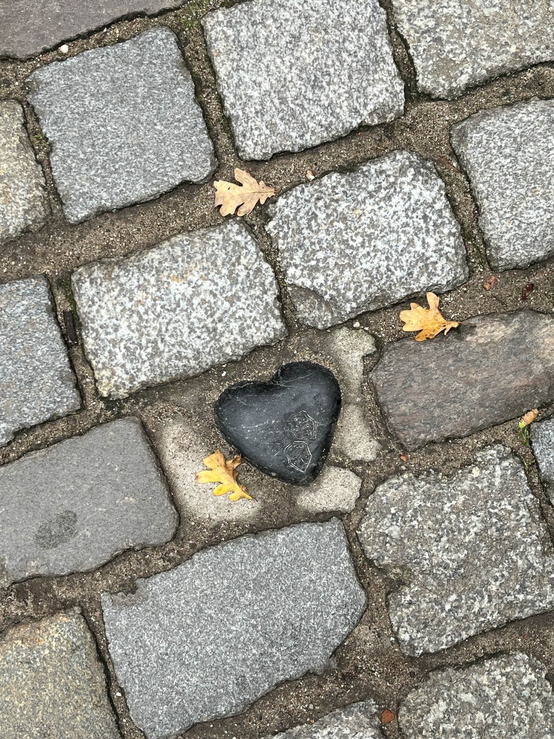 Полюбить Калининград за 3 часа (Елена)