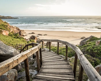 Сафари и свободное время