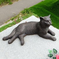 reviews img