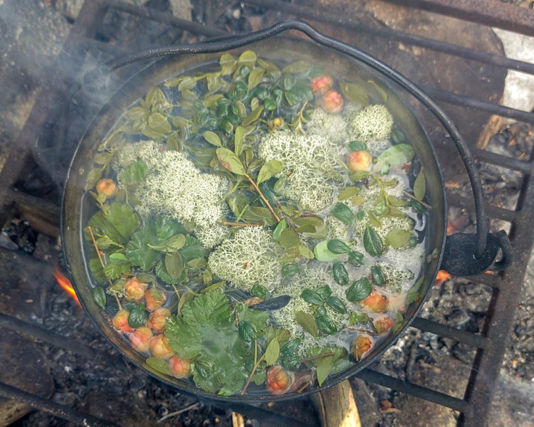 Треккинг по мурманской лесотундре