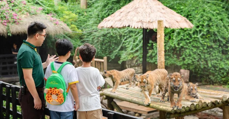 Входной билет в сафари-парк Чимелонг в Гуанчжоу