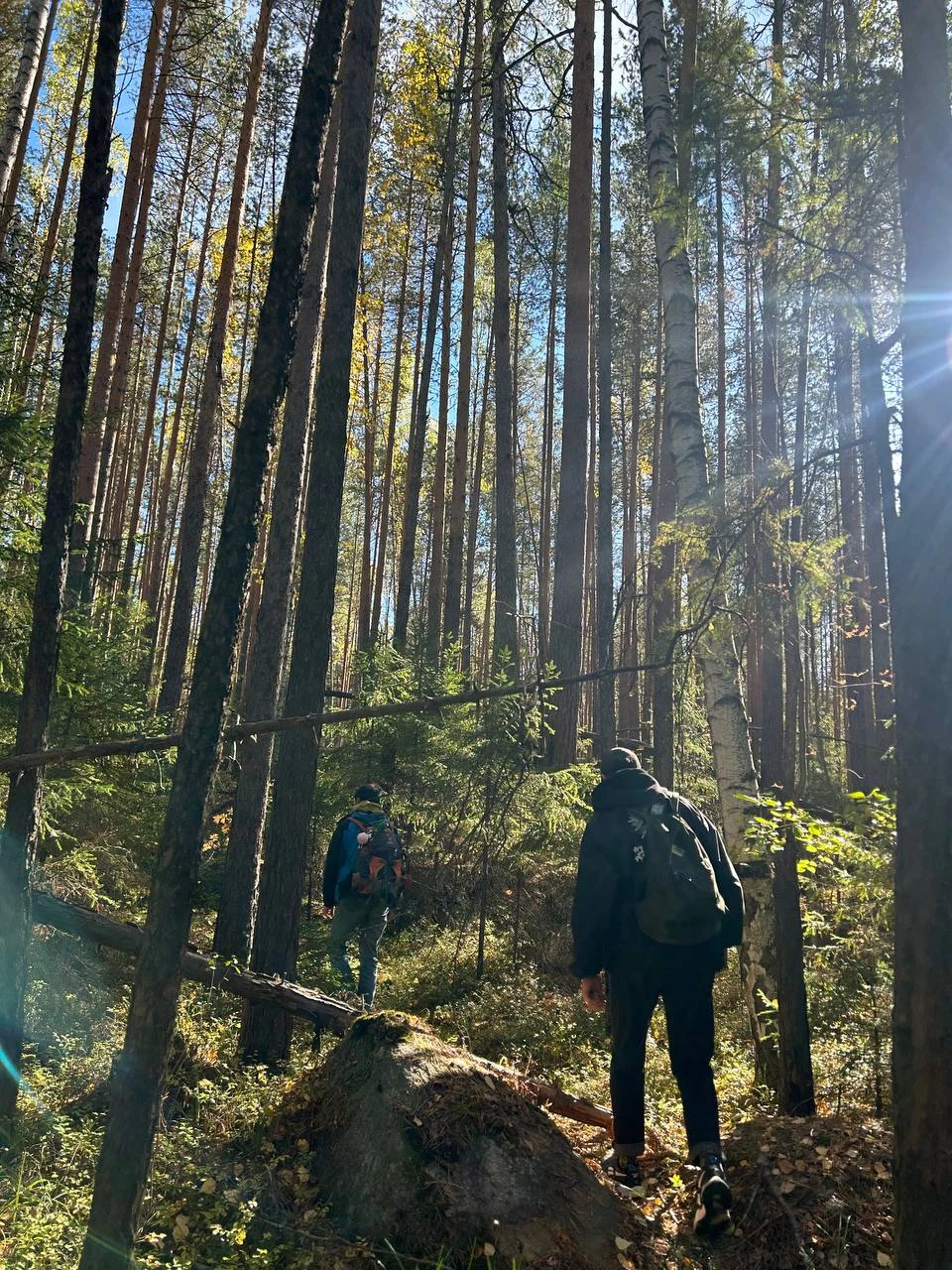 Замечательная экскурсия! Талантливый гид, интересный маршрут с нужными остановками (усталость благодаря эмоциям не чувствуется до момента,