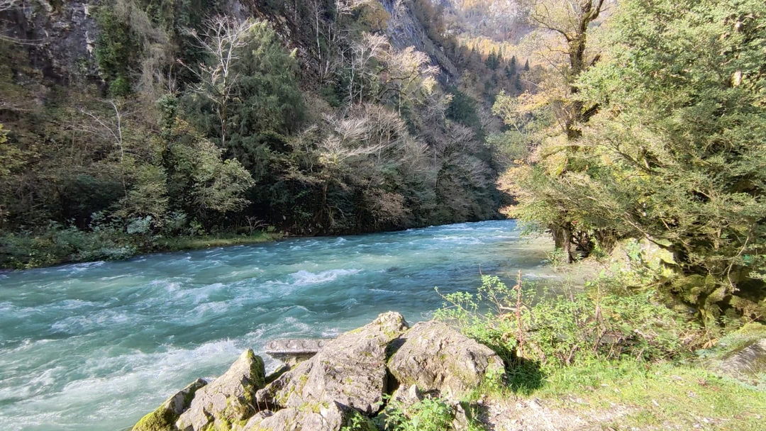 Ездили семьёй с двумя детьми из Сочи. Денис старался учесть наши пожелания, адаптировал программу для детей