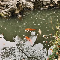Фото отзыва 2: экскурсия "Из Шанхая — в древний Ситан"