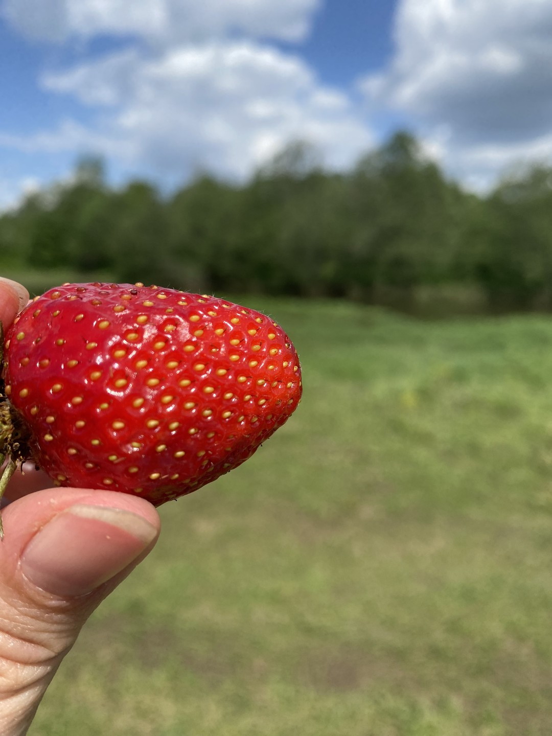 Великолепно, очень, понравилось. Заботливые инструктора Максим и Степан организовали и зарядили группу на позитив. Получилась отличная