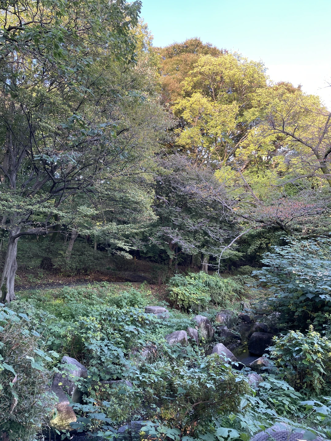 Экскурсия с Анной очень понравилась. Узнала много очень интересной информации о японских куртизанках, действительно Япония -