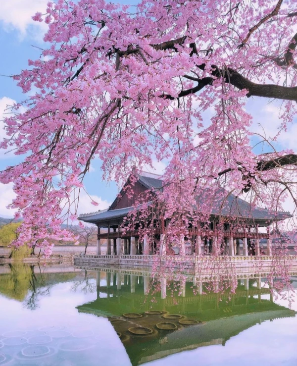 Камерной женской компанией в Корею: девичник с мастер-классом, круизом на яхте, фотосессией и сауной