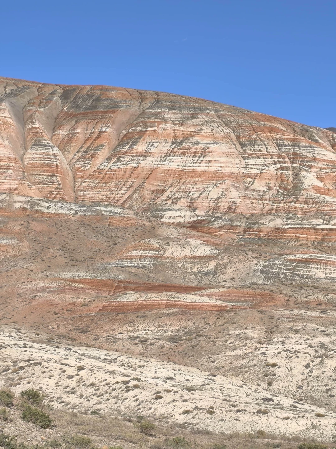Экскурсию проводил Эльчин. Грамотный, доброжелательный экскурсовод, готов помочь в любом вопросе. Мы остались довольны экскурсией. Большое спасибо!!!