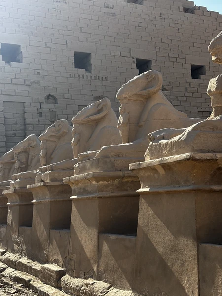 Вчера с мужем посетили данную экскурсию. Остались только положительные впечатления. Гид Акмал интересно рассказывал, отвечал на