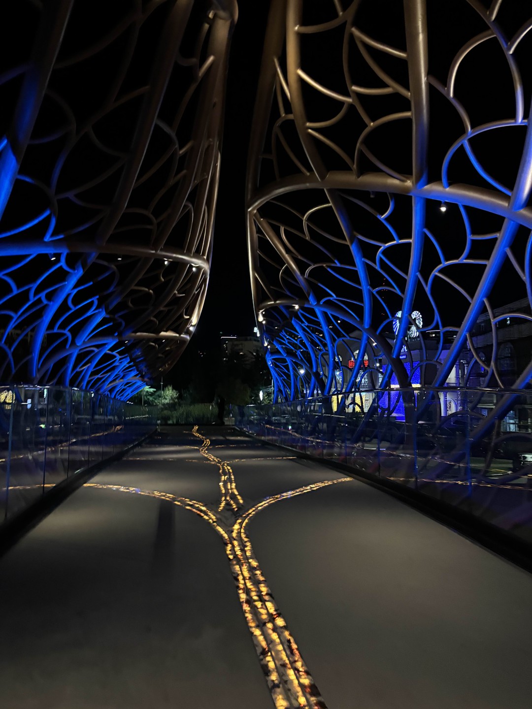 Вечерний Сочи (Елена)