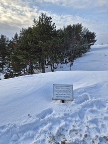 Фото отзыва 3: экскурсия "Из Мурманска в Кандалакшу — на Белое море!"