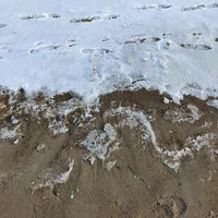 Фото отзыва 3: экскурсия "Уютное путешествие в Балтийск, Янтарный и Светлогорск из Зеленоградска в мини-группе"