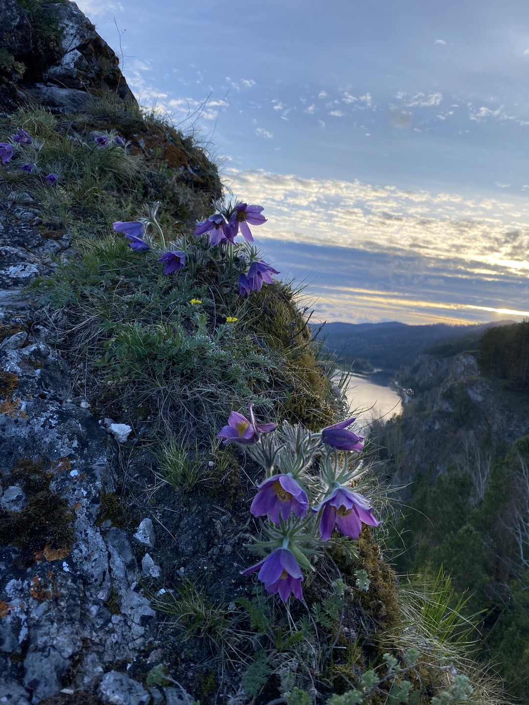 За время моего почти двухнедельного пребывания в Красноярске на майских праздниках я успела посмотреть на город