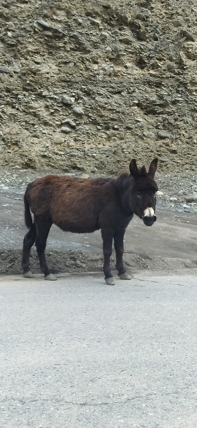 Из Пятигорска в Ингушетию - ездили с детьми по 9 лет. Это великолепные места, виды, комплекс