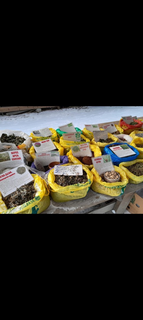 Спасибо за настоящее Сибирское приключение, дорога была незабываемой!