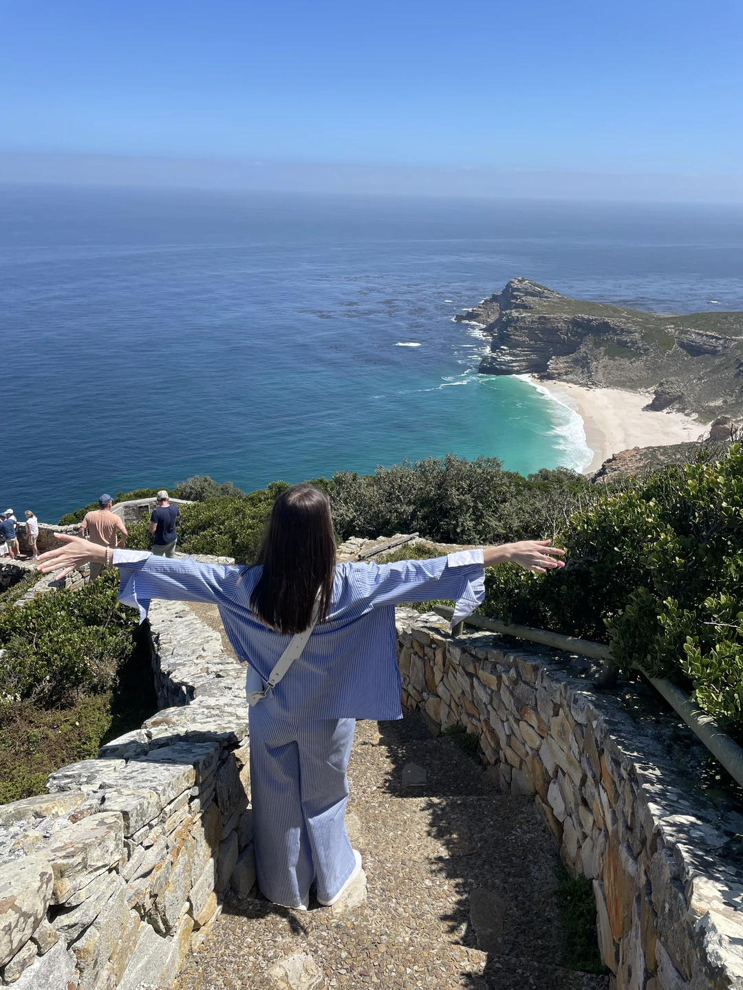 Невероятная экскурсия с Юлией!) мы остались в восторге от природы, красот Капского полуострова, животных, которых встретили