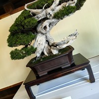 Фото путешественника — 3