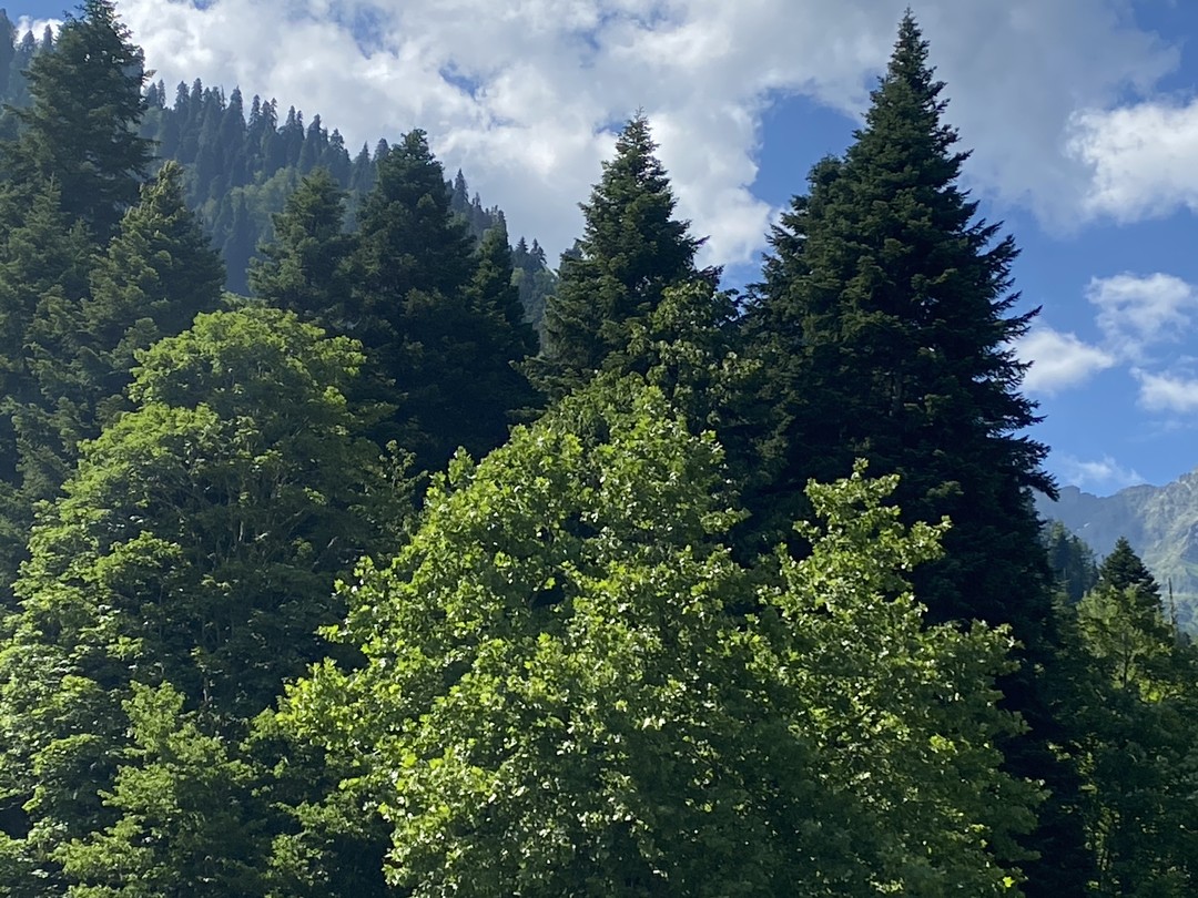 Отличная экскурсия, нам всё понравилось!