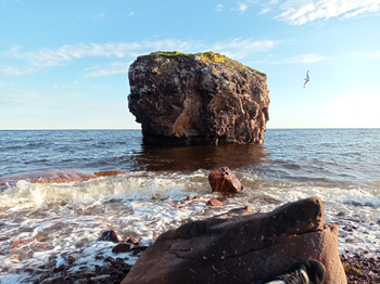 Кандалакшский и Терский берега Белого моря