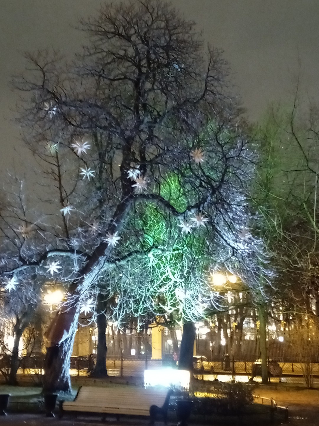 Ночной Петербург: автобусная экскурсия и теплоходная прогулка (Елена)