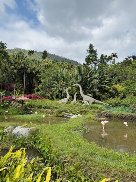 отличная прогулочная экскурсия! Экскурсич заняла 5 часов, как и было заявлено. Очень красивые виды открываются с